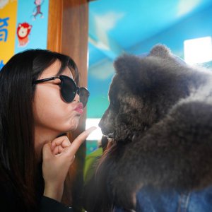 春游之際，臨泉魔幻動物園與您有個約“惠”