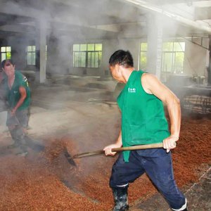 喚醒兩千余條窖池，新的釀酒季由此開始
