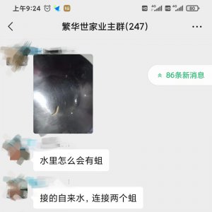 太惡心！小區(qū)自來水中驚現(xiàn)“活物”