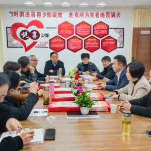 鹿城鎮(zhèn)老年協(xié)會(huì)學(xué)習(xí)宣傳貫徹黨的二十大精神，結(jié)合實(shí)際做好自身工作討論會(huì)召開(kāi)