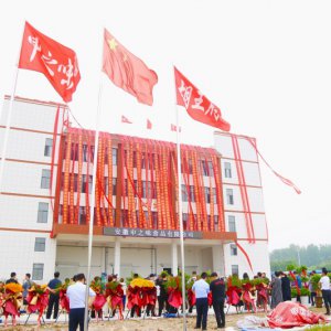 安徽胡王府：預(yù)制菜產(chǎn)業(yè)新生力量，助推鄉(xiāng)村振興