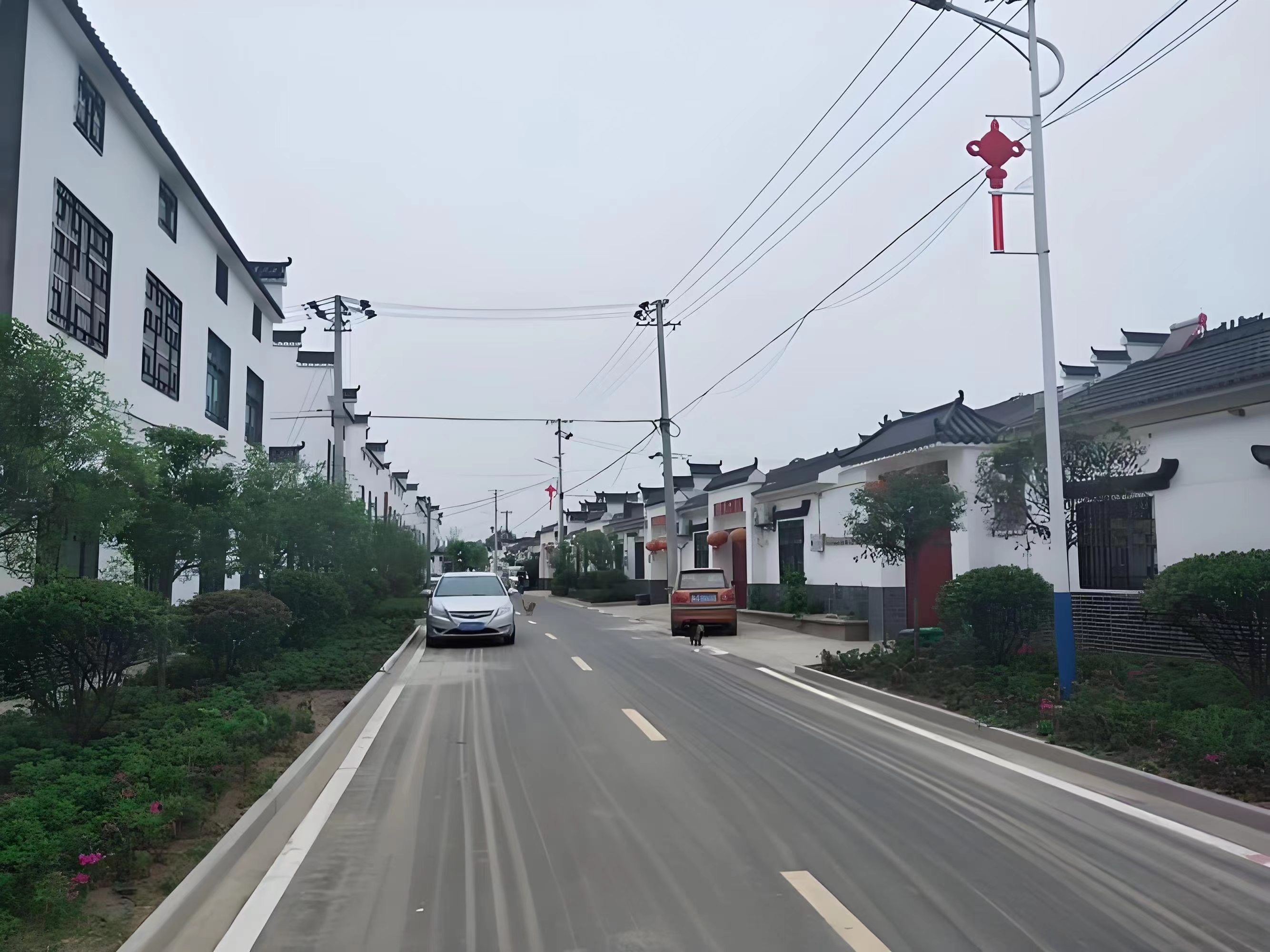 傳承紅色基因，續(xù)寫潁上黃壩發(fā)展新篇章